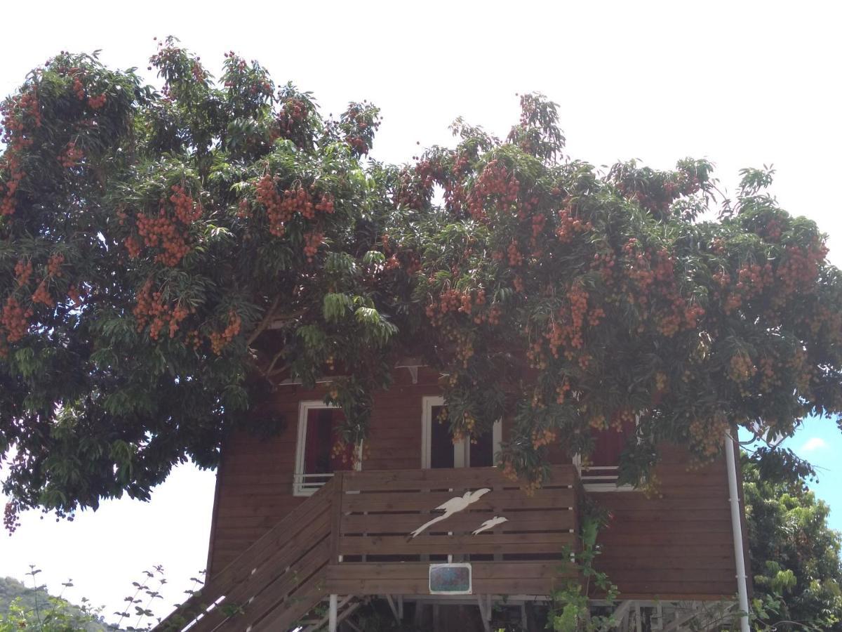 Ti Kaz Perchee Villa Entre-Deux Ngoại thất bức ảnh