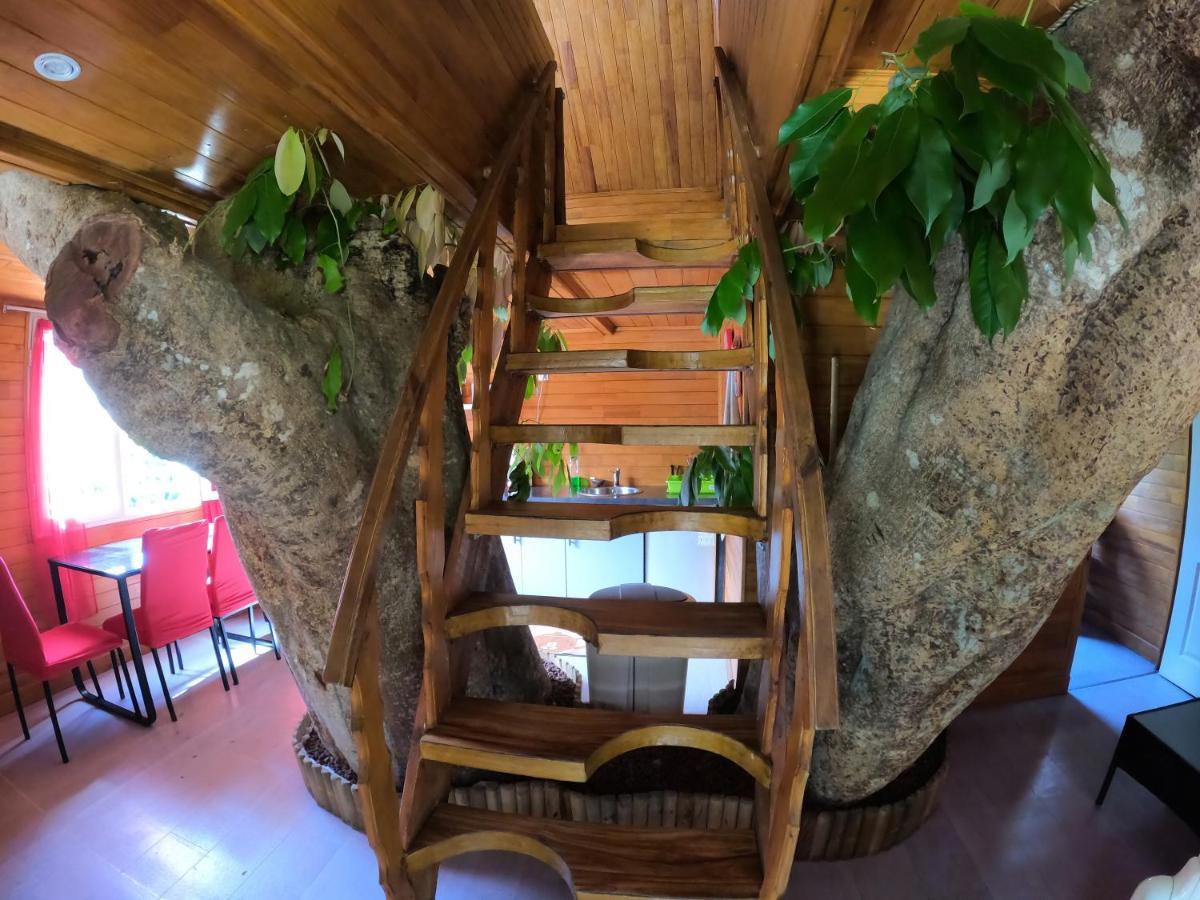 Ti Kaz Perchee Villa Entre-Deux Ngoại thất bức ảnh